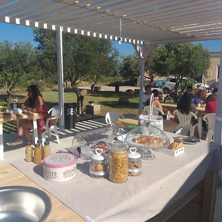 B&B Gli Ulivi ซานต์อันนาอาเรซี ภายนอก รูปภาพ
