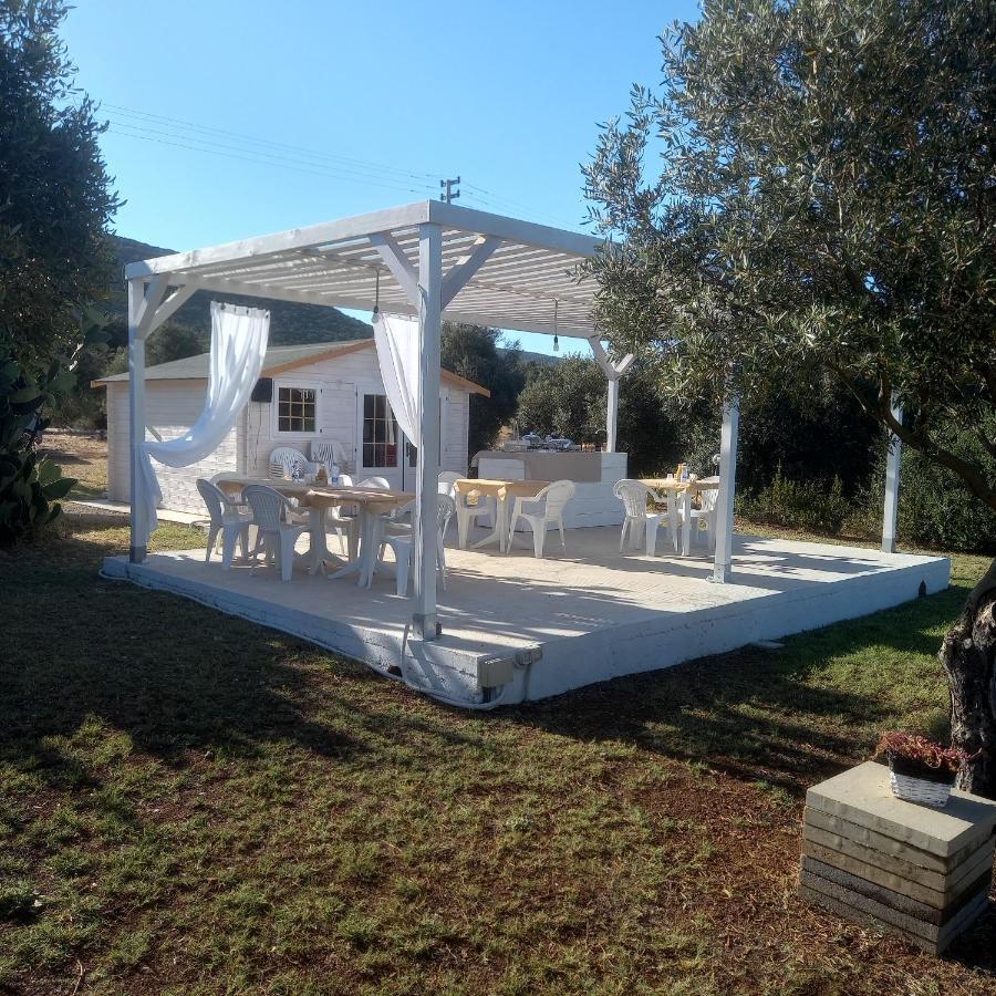 B&B Gli Ulivi ซานต์อันนาอาเรซี ภายนอก รูปภาพ